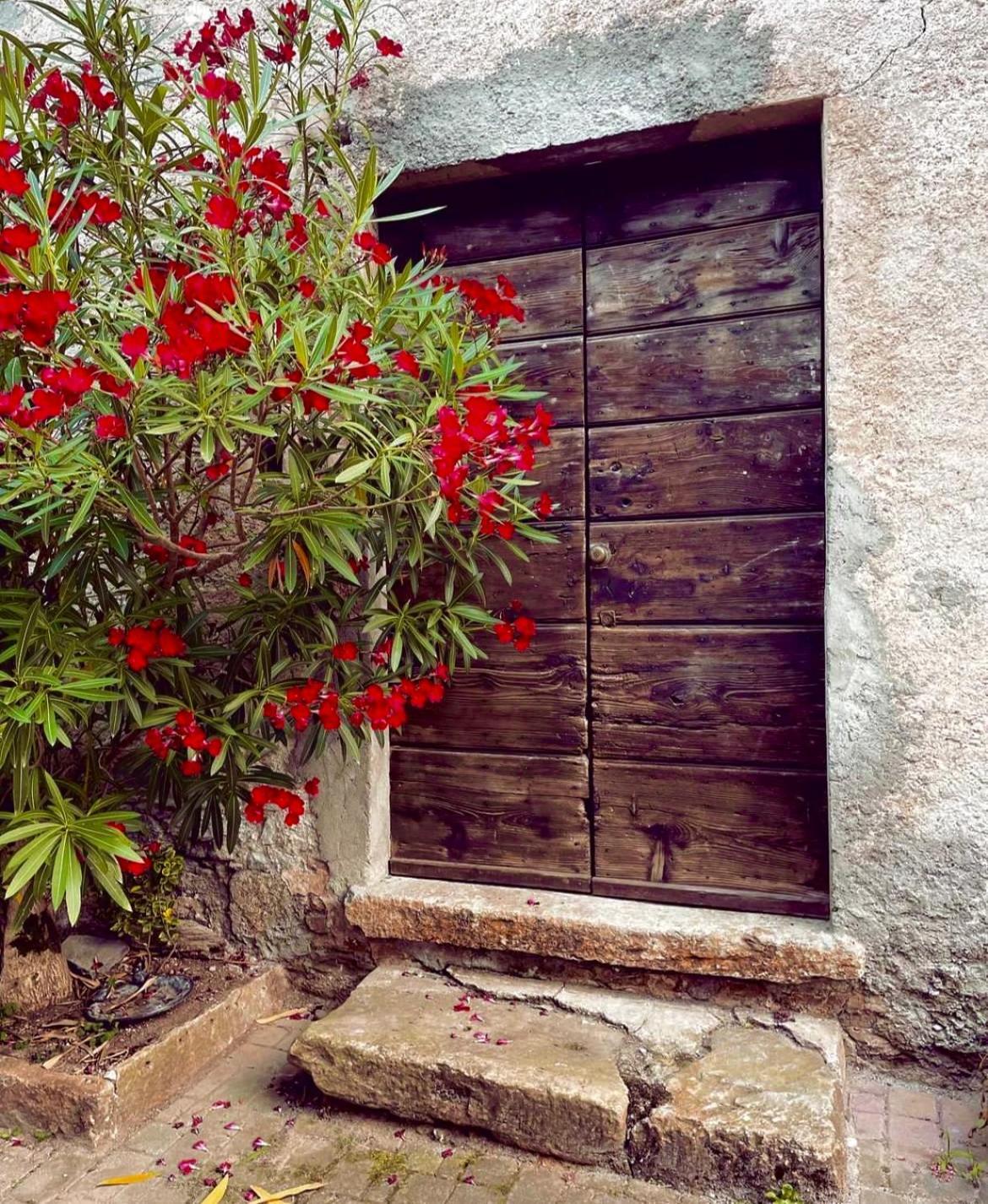 Agriturismo La Vecchia Chioderia 그란돌라 에드 우니티 외부 사진