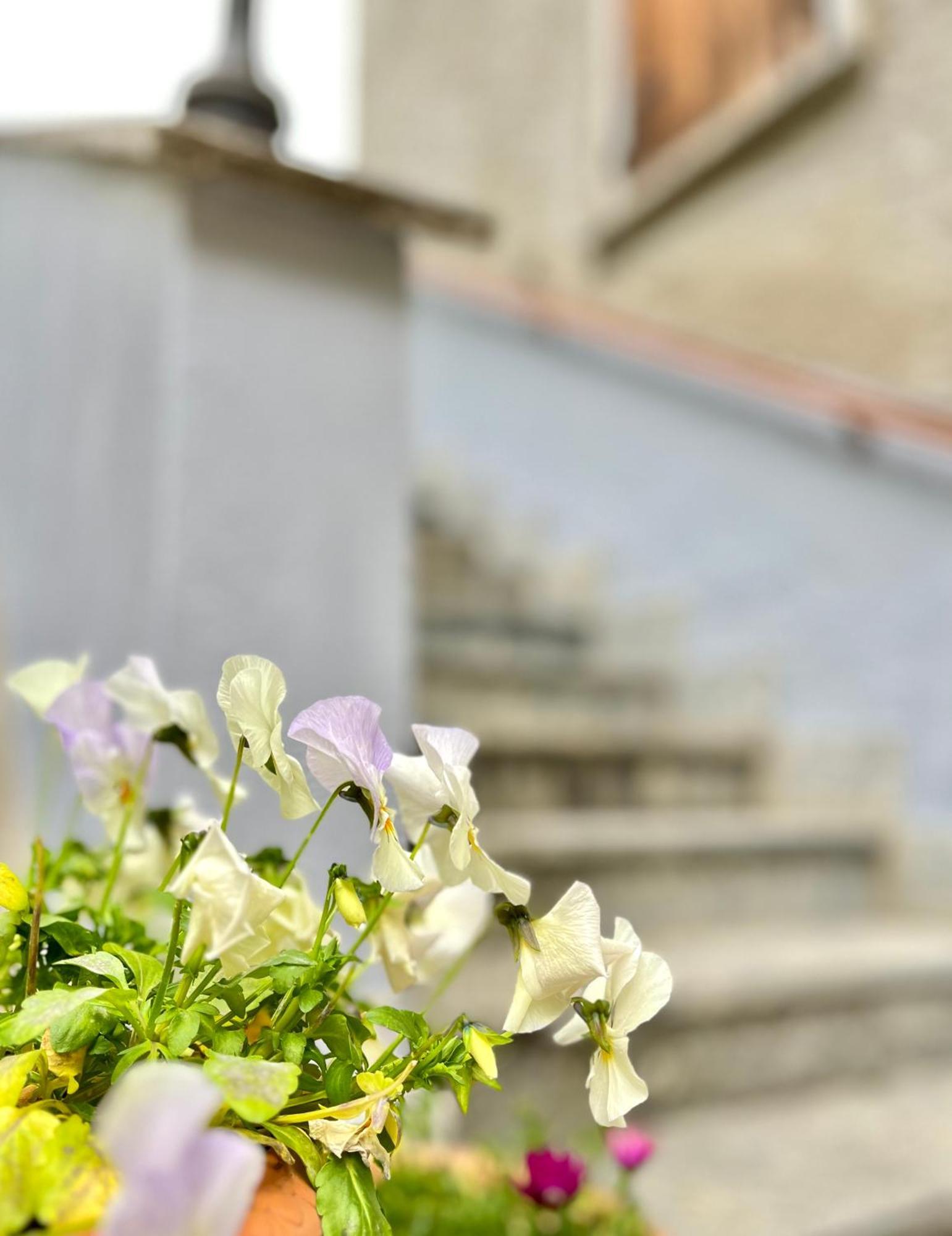 Agriturismo La Vecchia Chioderia 그란돌라 에드 우니티 외부 사진