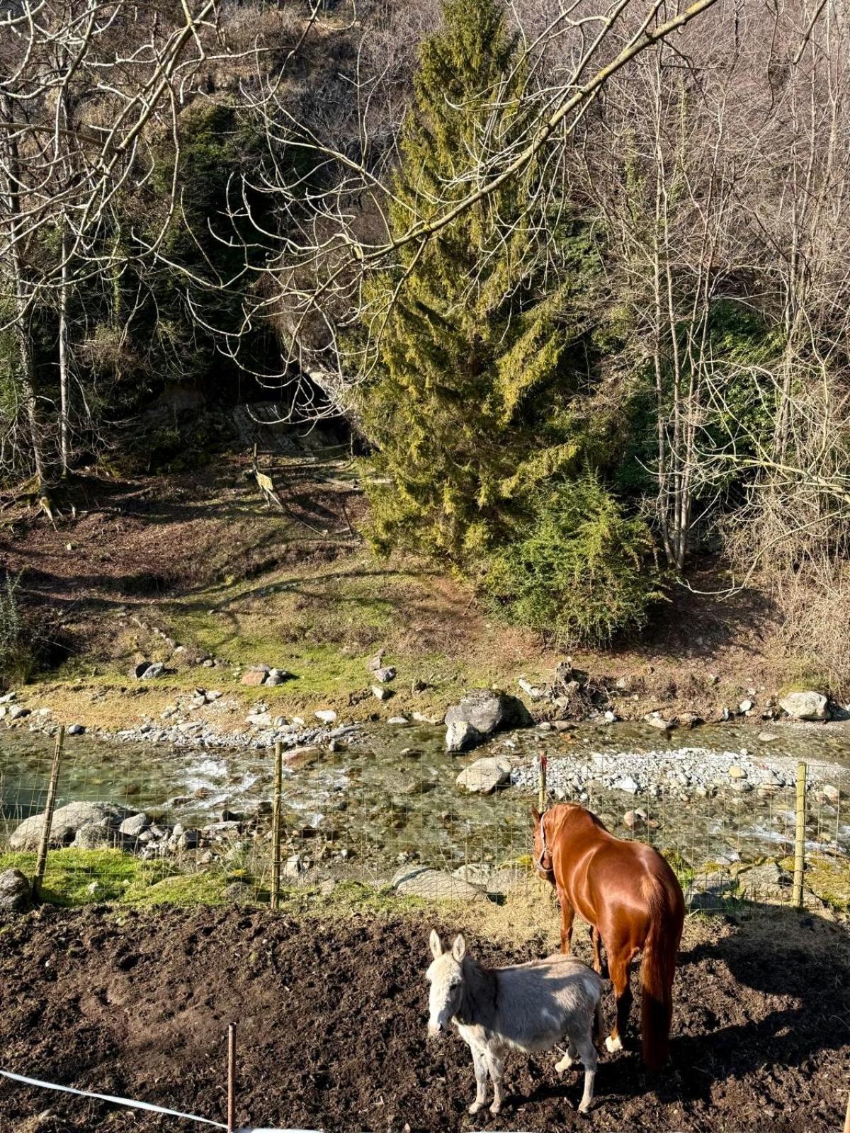 Agriturismo La Vecchia Chioderia 그란돌라 에드 우니티 외부 사진